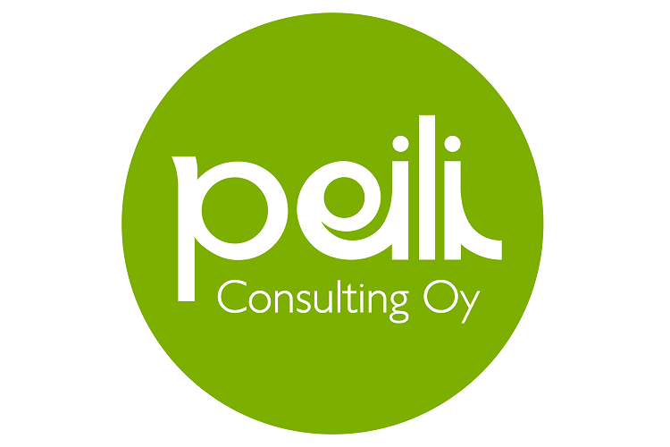 Peili-Consulting-Oy